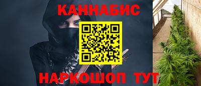 мдпв Тула